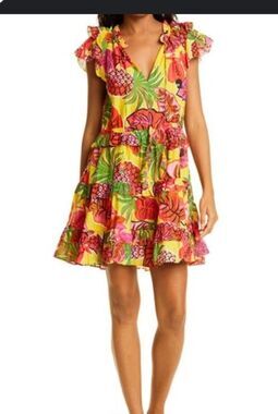 FARM RIO FRUIT RUFFLE MINI DRESS COLORFUL Fully Lined  Sz Small